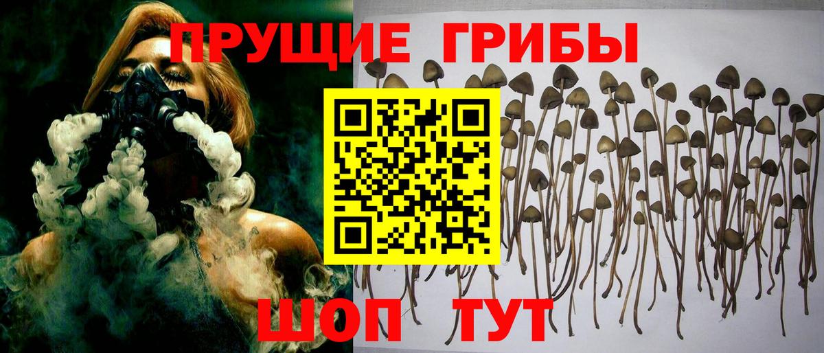 Галлюциногенные грибы Psilocybine cubensis  Псилоцибиновые грибы Psilocybe  Вход с VPN  Саянск 